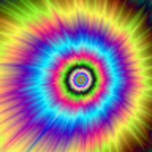 Meet your Posher, Lana